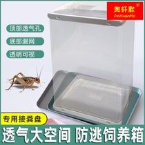 Climbing darling A3 rearing box transparent assembly case breathable leakage faecal bread worm Dubya Cricket Anti-Escape Rearing Box