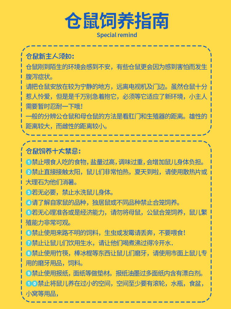 活体仓鼠金丝熊活物小仓鼠家养宠物三线布丁长毛熊银狐活体包活苍 - 图2