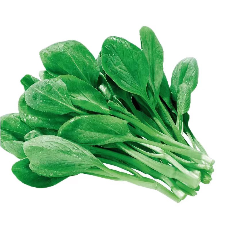 蔬菜种子大全四季播菜籽种孑盆栽阳台庭院香菜豆角香甜瓜籽孑大全_草木世家园艺_鲜花速递/花卉仿真/绿植园艺-第4张图片-提都小院