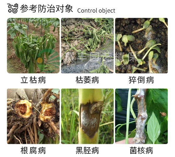 99%恶霉灵原药土壤消毒杀菌剂草莓蔬菜人参中药材根腐病噁霉灵,淘宝优惠券,粉丝福利购,淘宝优惠卷