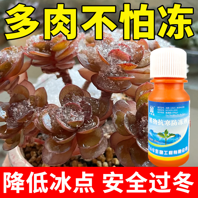 多肉专用植物冷却液花卉蔬菜苗木果树低温防寒抗寒抗冻通用防冻剂 - 图0