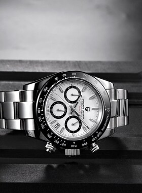 PAGANI Men's Watches Top Brand Luxury Quartz Watch Men Spor