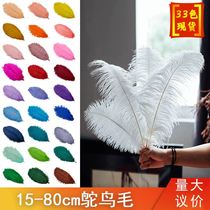 Manufacturer direct sales 15 -80cm ostrich wool stage performance white feather wedding celebration DIY decorative ostrich feathers