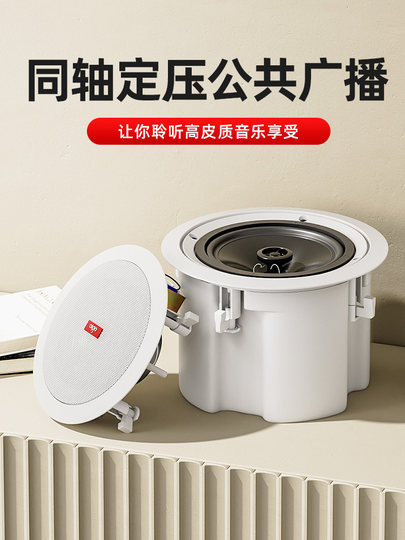 Soporte de pared para audio de techo con audio de presión constante Patriot