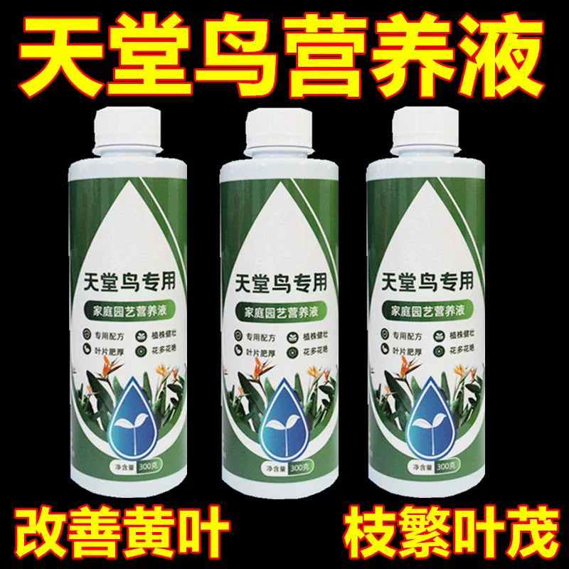 天堂鸟专用肥料黄叶卷边出油营养液叶子发黄家用室内盆栽植物花肥