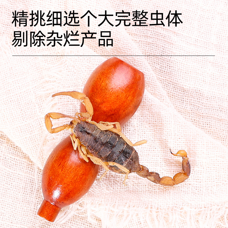 蝎子干中药材全蝎全虫干蝎子泡酒沂蒙山非清水全蝎粉大母蝎子食用