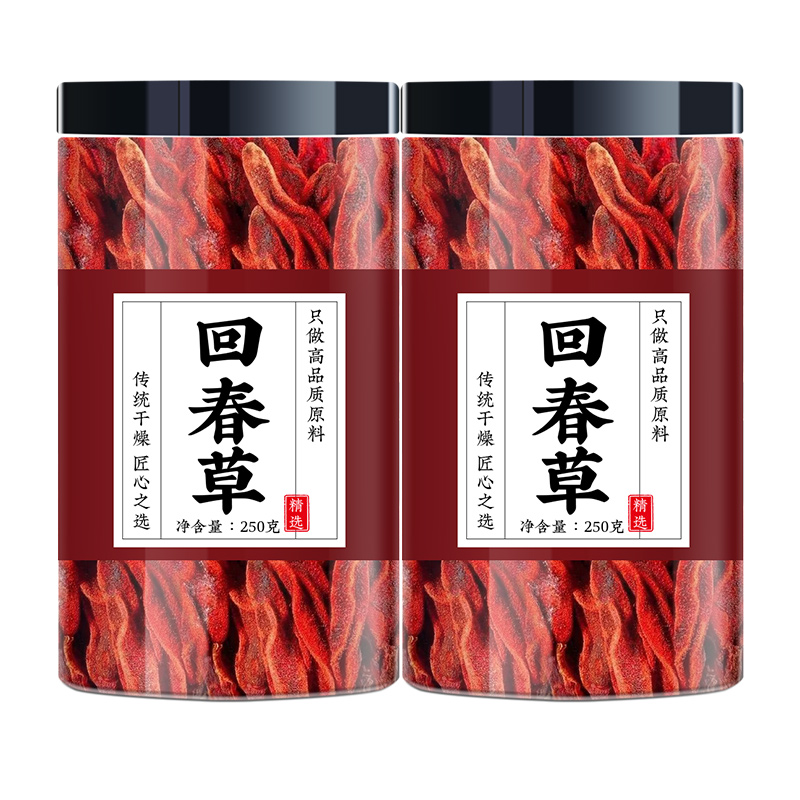 回春草野生云南不老草长白山顶天柱中药材茴椿草泡酒的作用茴春草