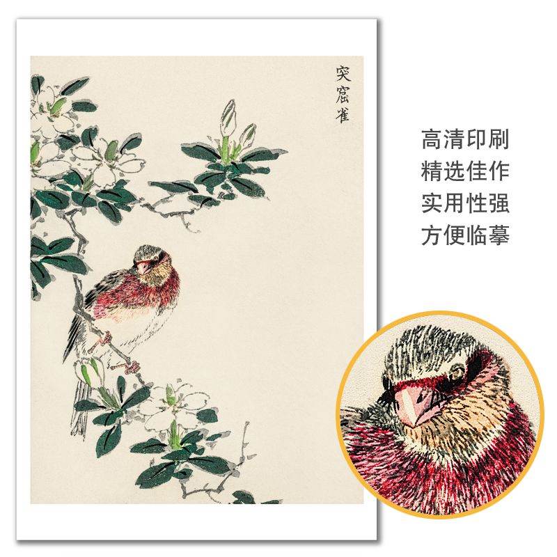 国画临摹卡花鸟名家木板画中国风初学者绘画入门绘画教学全套48幅 - 图3