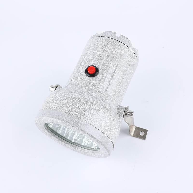 BSD96防爆视孔灯化学容器LED反应釜视镜探照观察矿用内12/24/36V - 图2