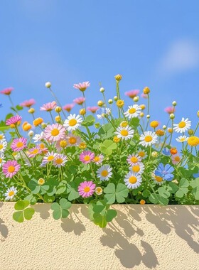 清新自然植物花卉四叶草雏菊自粘墙贴画卧室客厅餐厅背景装饰贴纸