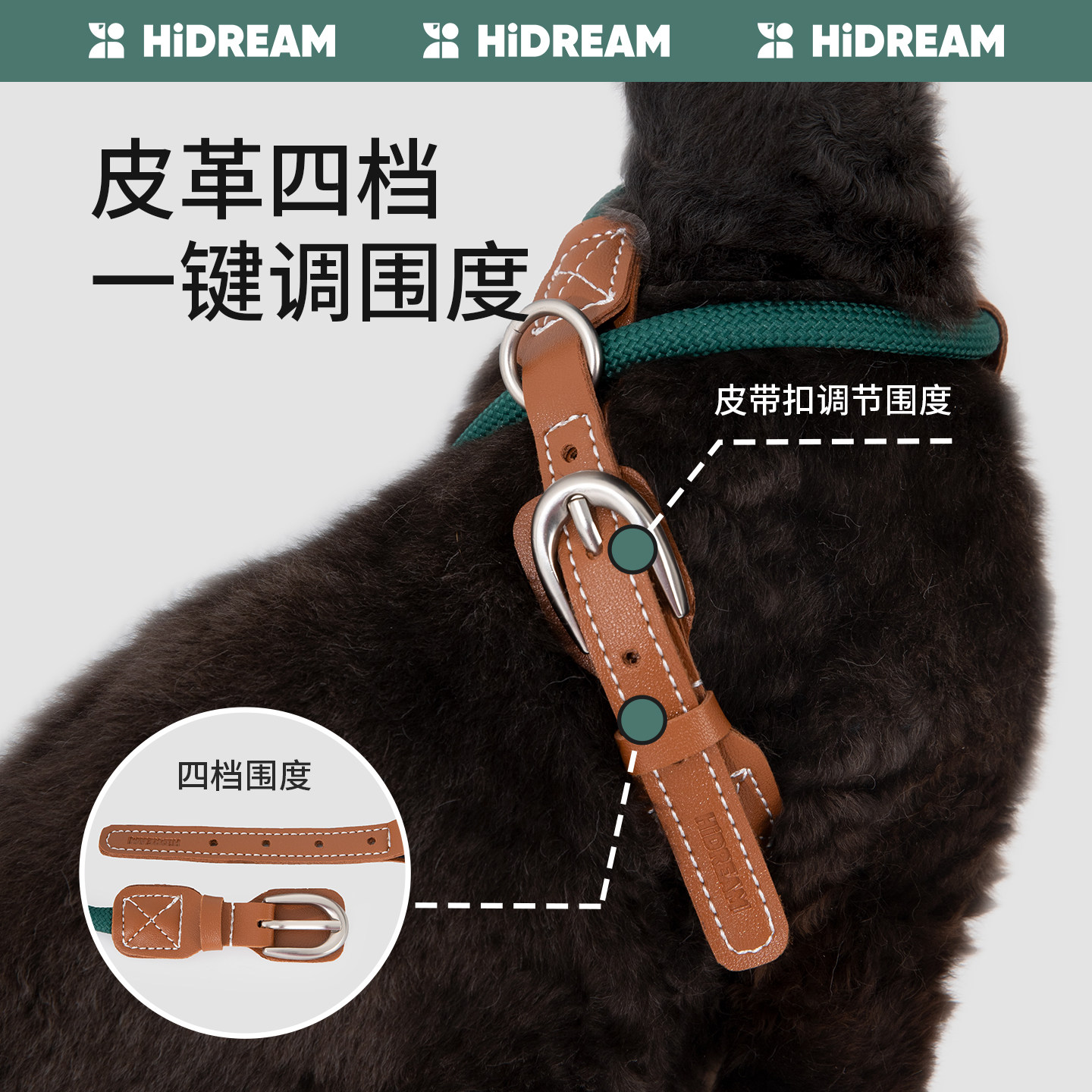 HiDREAM穿行跃动猫胸背带套装可调节X字形防挣脱猫牵引绳遛猫绳,淘宝优惠券,粉丝福利购,淘宝优惠卷
