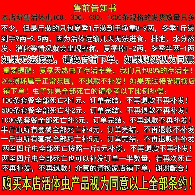 面包虫活体黄粉虫宠物饲料龙鱼蜥蜴龟蛙鸟包邮,淘宝优惠券,粉丝福利购,淘宝优惠卷