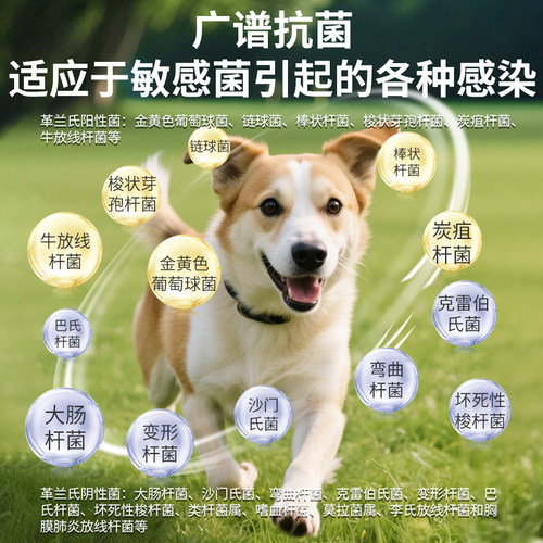 猫咪感冒药阿莫西林克拉维酸钾片宠物狗狗消炎药猫鼻支速打喷嚏诺 - 图1