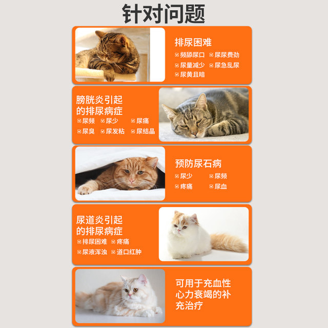 Cats with diuretic and urinary tract infection