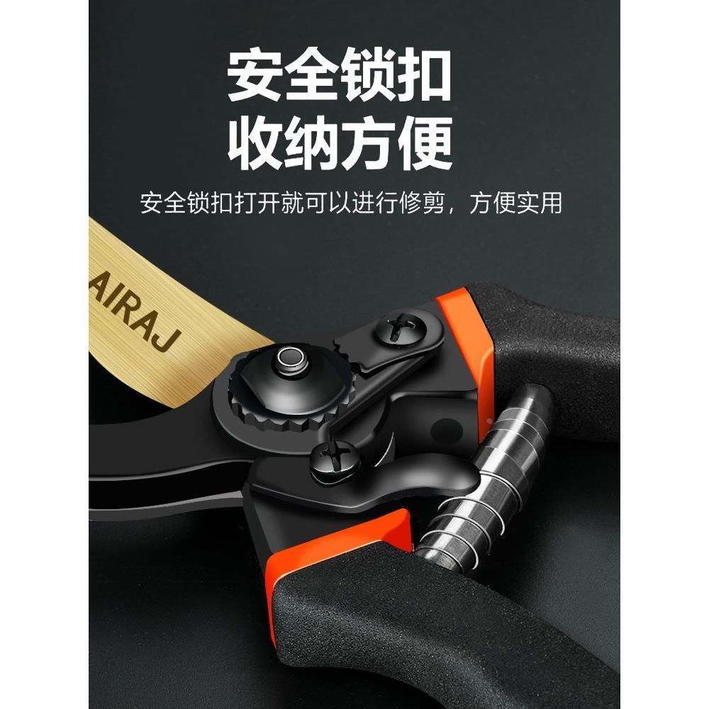 德国精工艺园剪刀剪树枝专用剪刀修枝剪园林果树修花家用粗枝剪子 - 图2