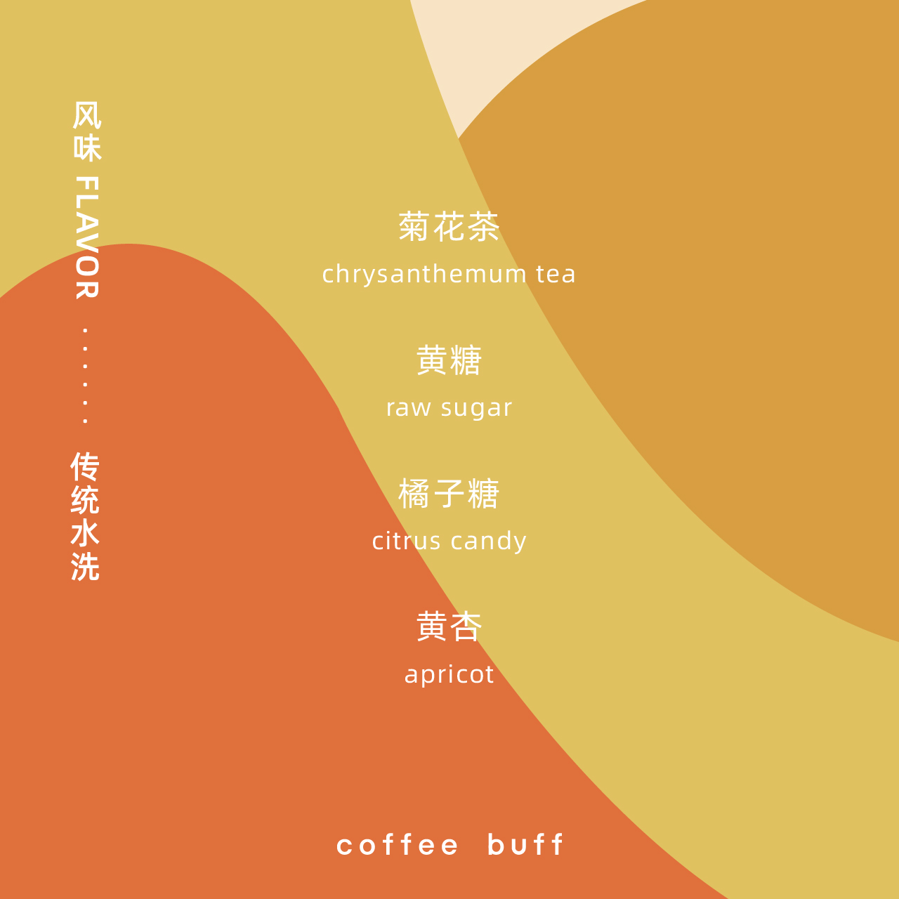 2024新产季埃塞ALO COFFEE COE 冠军处理厂西达摩班莎手冲咖啡豆 - 图1