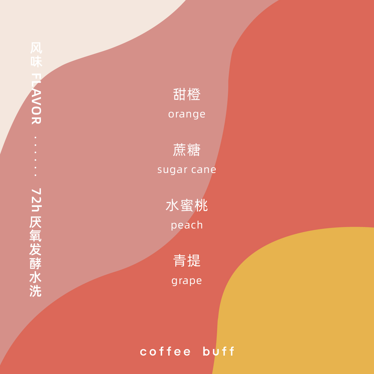 2024新产季埃塞ALO COFFEE COE 冠军处理厂西达摩班莎手冲咖啡豆 - 图2