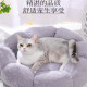 Internet celebrity cat kennel for small dogs to keep warm in winter
