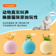 Jas cat toy ball bird frog sound