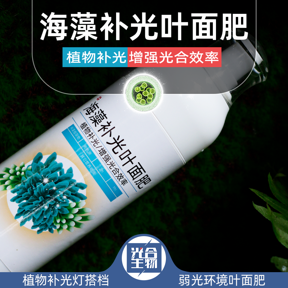 海藻补光叶面肥苔藓蕨类室内喜阴微景观多肉植物补光灯专用花肥,淘宝优惠券,粉丝福利购,淘宝优惠卷