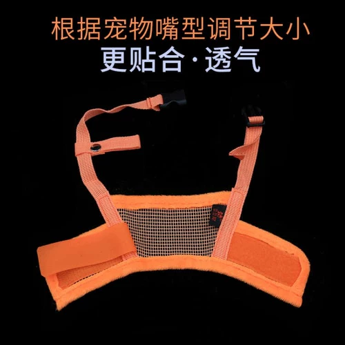 Корпус собаки против собачьей маски для собак против