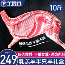 Fresh mutton fresh half a sheep 10 catfish Now Kill Milk Lamb Rear Leg Sheep Ribs Frozen Sheep Scorpion Hotpot Ingredients