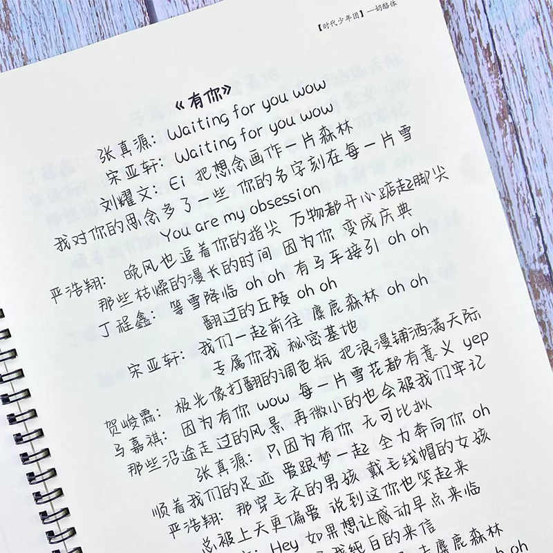 TNT时代少年团周边歌词本奶酪体情书翩翩体女生钢笔临摹本练字帖_虎窝淘