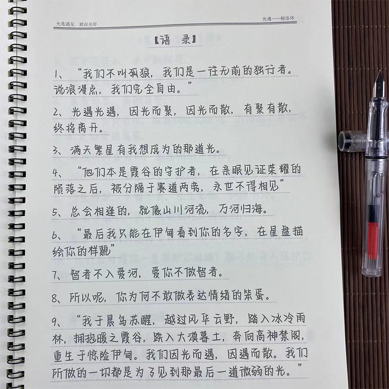 鲸落体文案本学生字帖十八楼语录晋江小说央视金句周边硬笔练字帖 - 图1