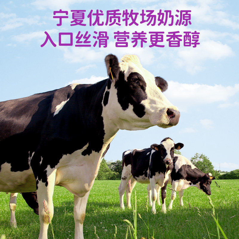 椰泰轻上西梅多多酸奶饮品0添加蔗糖口口淳发酵酸奶整箱进口奶源