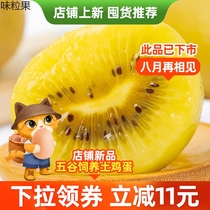 Sichuan Yellow Heart Exotic Fruits Fresh Pregnant Women Fruits Big Fruits when Ji Zhengzong Yellow Heart Exotic Fruit Whole Boxes 5 catties