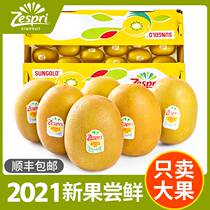 Canapeic exotic fruits New Zealand Imports of golden fruits Fresh pregnant women Fruit of the season Yellow Heart Exotic Fruits Shunfeng