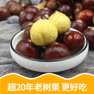 新鲜现摘丹东大板栗净重4.5斤