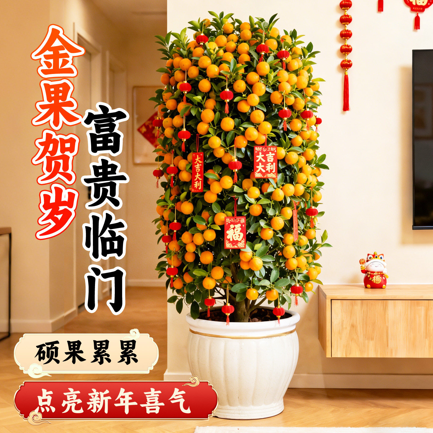 年桔盆栽带果可食用四季金桔树客厅室内新年招财寓意家庭年宵绿植,淘宝优惠券,粉丝福利购,淘宝优惠卷