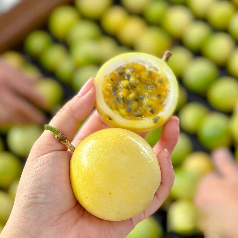 广西百香果黄金钦蜜9号5斤包邮特大果白时令孕妇水果新鲜当季整箱,淘宝优惠券,粉丝福利购,淘宝优惠卷