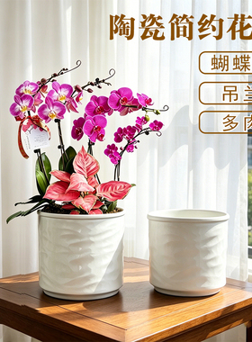 ins风北欧陶瓷花盆桌面摆件