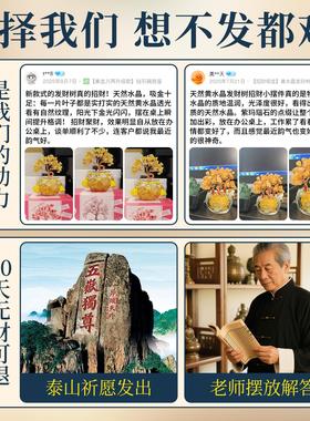 天然黄水晶发财树紫玛瑙