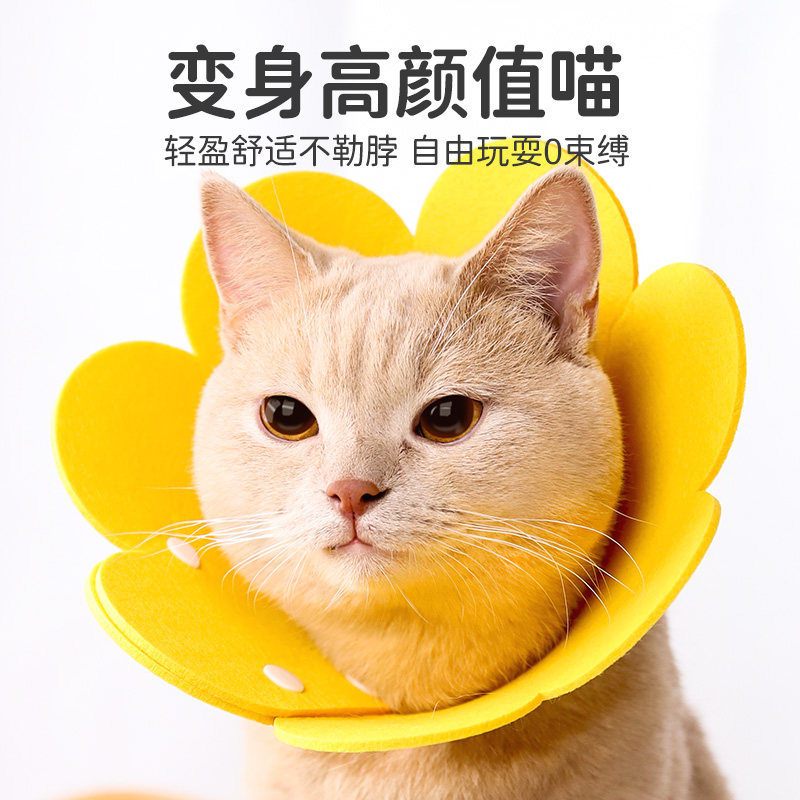 伊丽莎白圈猫咪绝育项圈圈防舔颈圈头套狗狗脖圈宠物用品防咬,淘宝优惠券,粉丝福利购,淘宝优惠卷