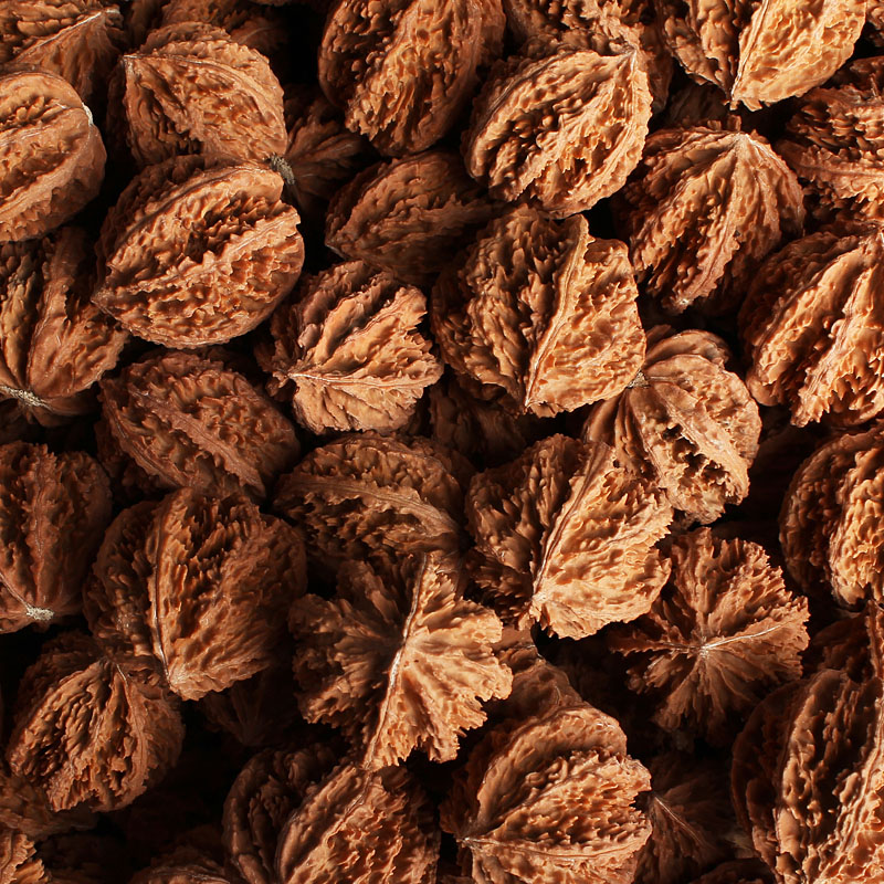 大粗筋京八棱大灯笼文玩把玩扎手核桃秋子纹理清晰刺多密细男野生 - 图0