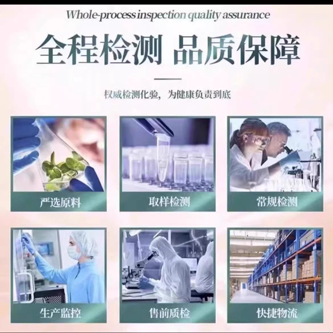 灵芝西红花菊苣茯苓片直播同款草本萃取菊苣茯苓片,淘宝优惠券,粉丝福利购,淘宝优惠卷