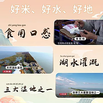 湖上粮仓！兴凯湖云露香米10斤[5元优惠券]-寻折猪