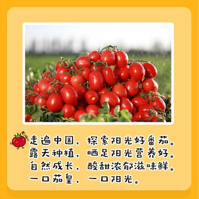 统一茄皇方便面袋装番茄鸡蛋牛肉