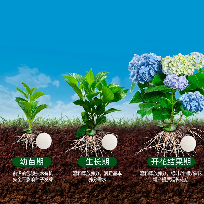 植物营养缓释片家庭园艺养花通用型肥料家用盆栽花卉果蔬多肉肥,淘宝优惠券,粉丝福利购,淘宝优惠卷