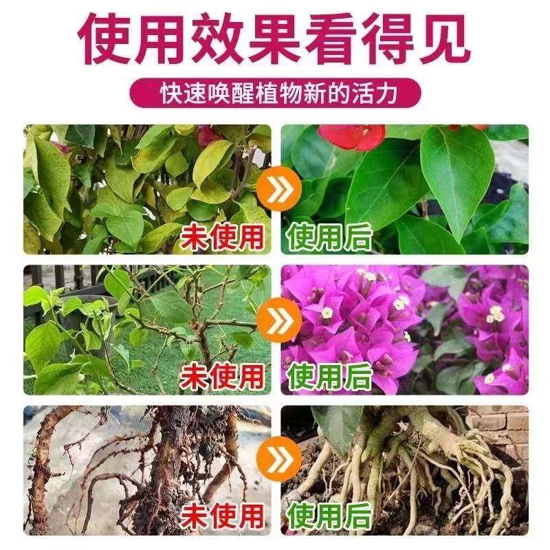 三角梅开花专用营养液肥促花爆花骨粉养花覆合肥料枝繁叶茂促开花,淘宝优惠券,粉丝福利购,淘宝优惠卷