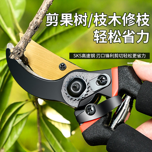 剪枝剪刀剪树枝专用剪子强力花艺果树修剪园林园艺粗枝剪修枝盆景 - 图0