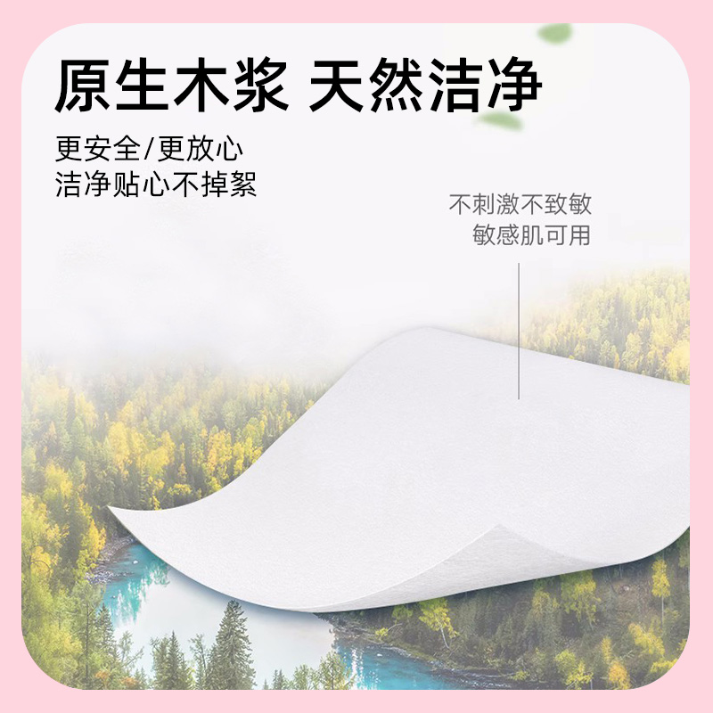 丽邦卷纸14卷800g家用实惠装纸巾厕纸厕所手纸无芯卷筒纸卫生纸