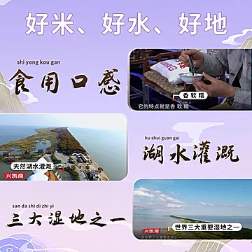 湖上粮仓兴凯湖大米稻香米10斤[2元优惠券]-寻折猪