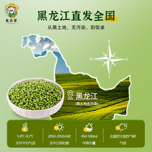 东北当季黑龙江绿豆农家新货新鲜可发芽大颗粒优质绿豆粥绿豆糕 - 图1
