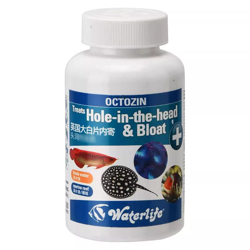 英国正品进口内寄大白片外寄龙鱼魟热带鱼头洞肠炎白点病观赏鱼药 - 图3