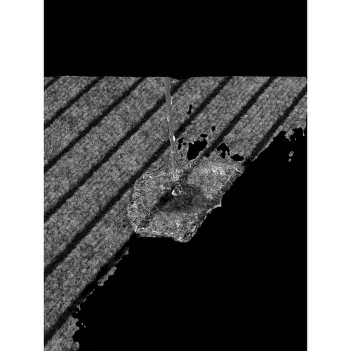 脚垫地垫地毯入户门门口进门吸水防滑垫家用耐脏厨房商用可裁剪 - 图3