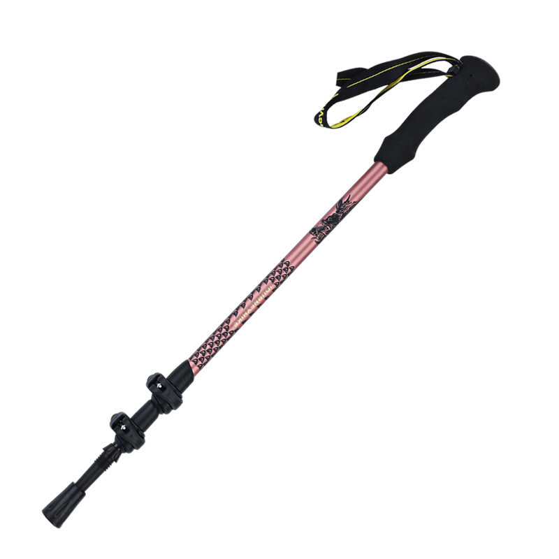 哲客高端户外碳素登山杖手杖9D立体龙纹登山杖超轻超硬远途爬山杖 - 图3